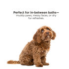BioSilk For Dogs Moisturizing Waterless Shampoo Spray, , large image number null